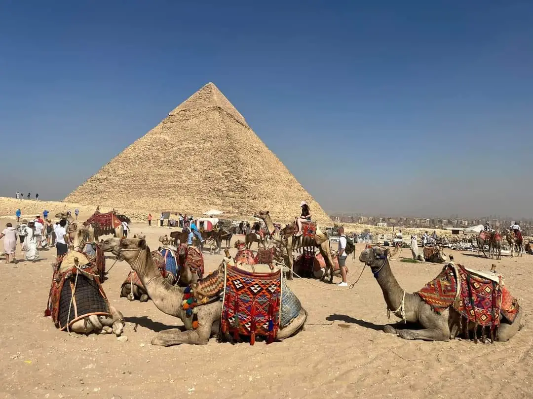 Cairo Day Trip by Flight, Pyramids & sphinx & Museum