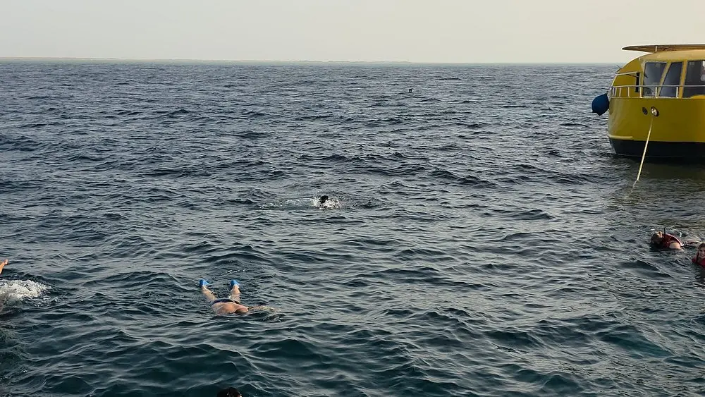 Hurghada: Royal Seascope Submarine Cruise with Snorkeling Stop